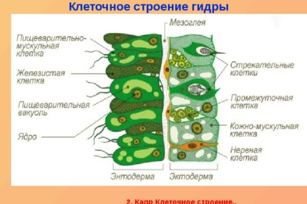 Почему не работает сайт кракен