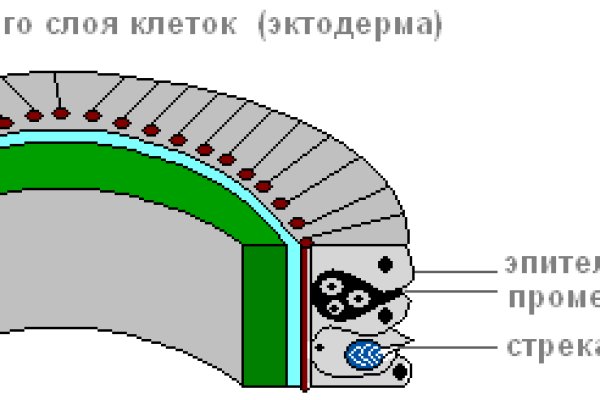 Как войти на кракен