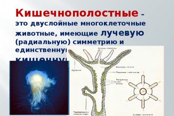 Правильная ссылка на кракен